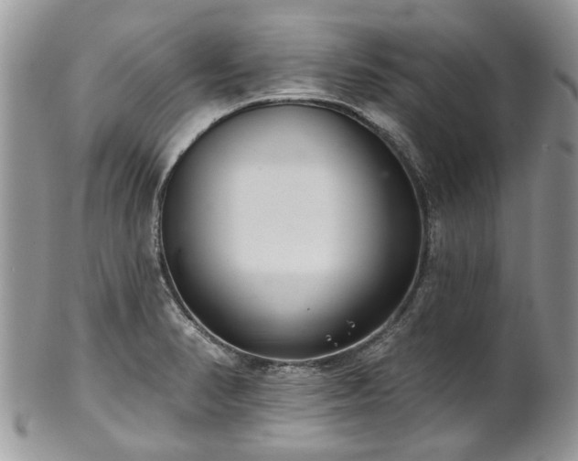 X0000101981374200807251224