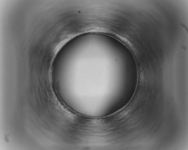 X0000101981375200807251224