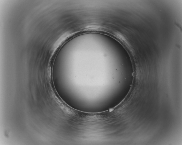 X0000101981376200807251224