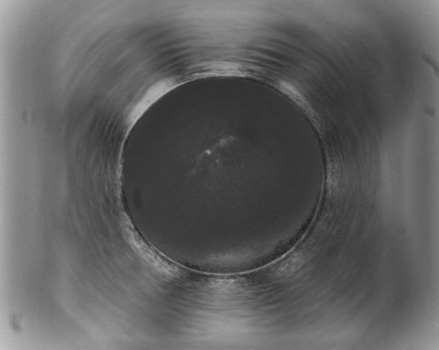 X0000101981378200807251224