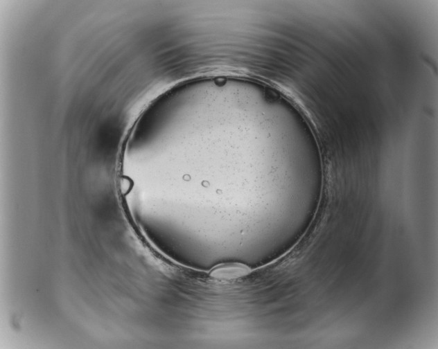 X0000101981379200807251224