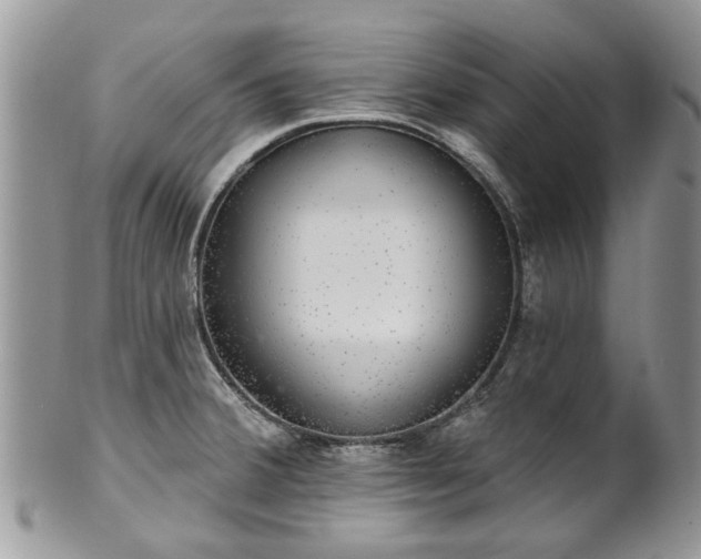 X0000101981380200807251224