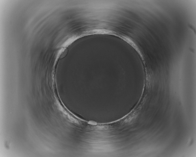 X0000101981381200807251224