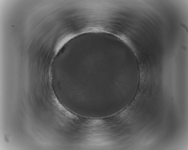 X0000101981382200807251224