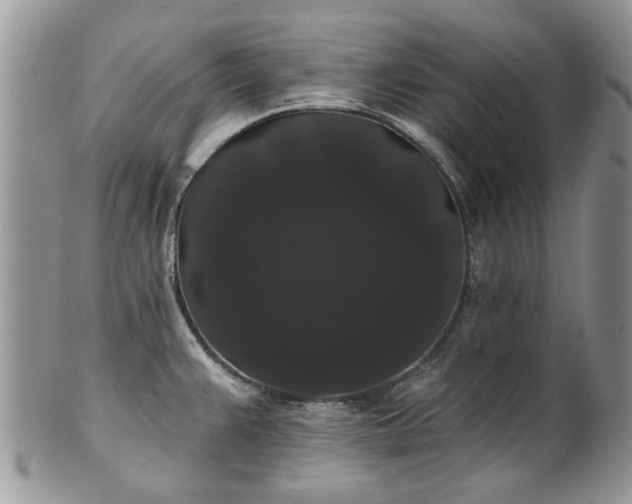 X0000101981383200807251224