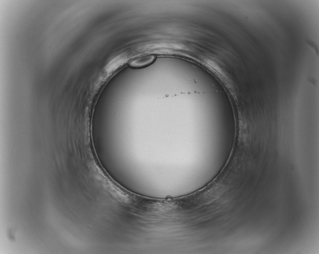 X0000101981384200807251224