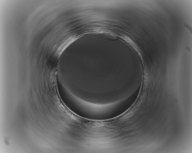 X0000101981385200807251224