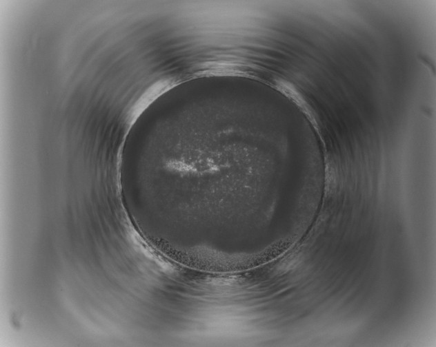 X0000101981386200807251224