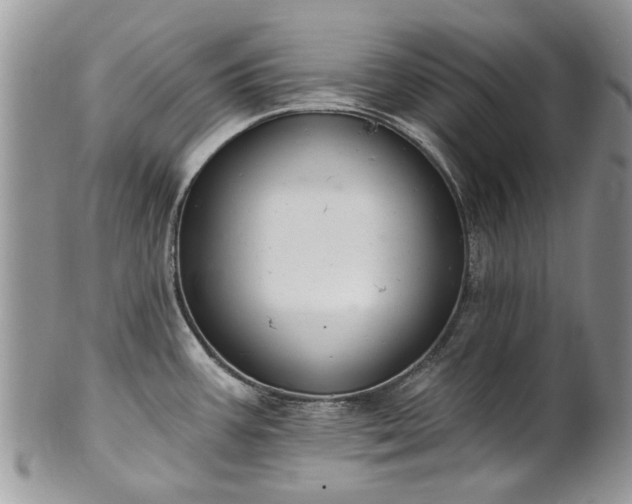 X0000101981387200807251224