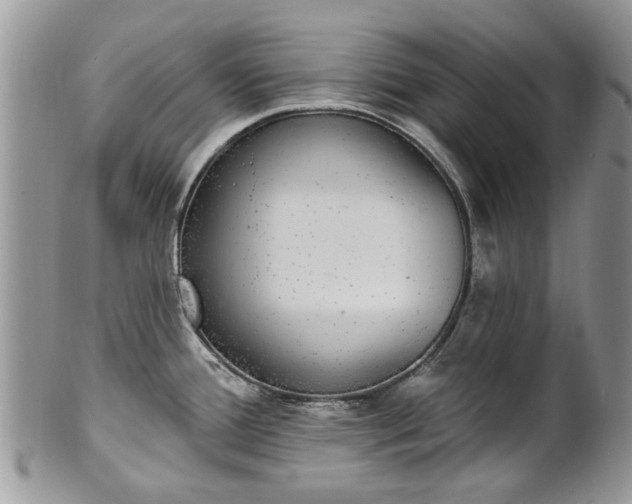 X0000101981388200807251224