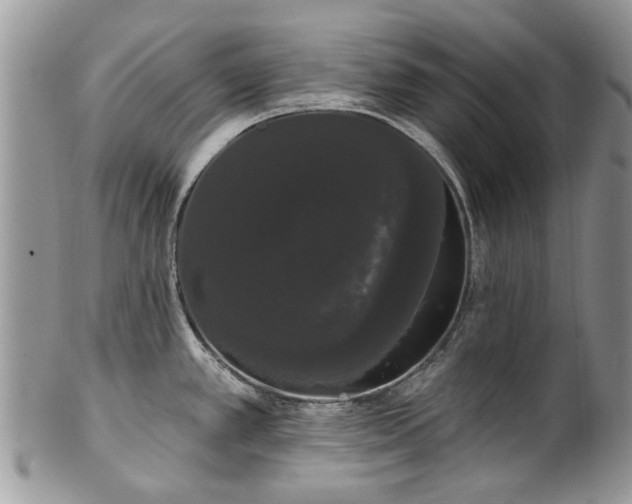 X0000101981389200807251224