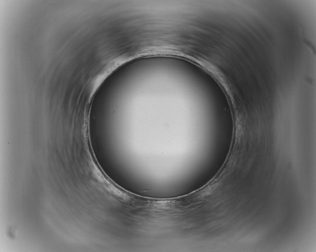 X0000101981390200807251224