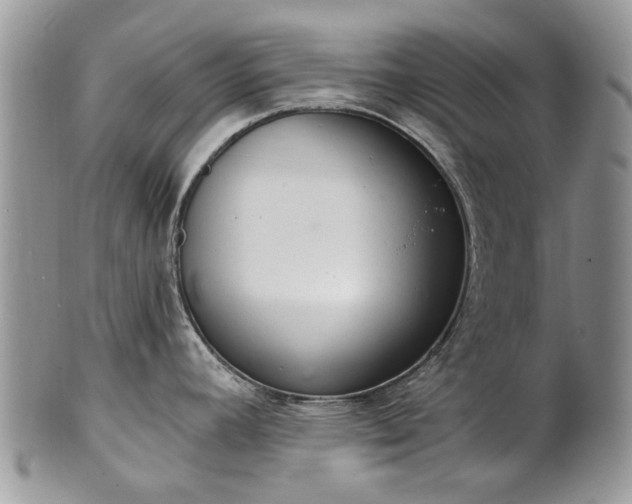 X0000101981392200807251224