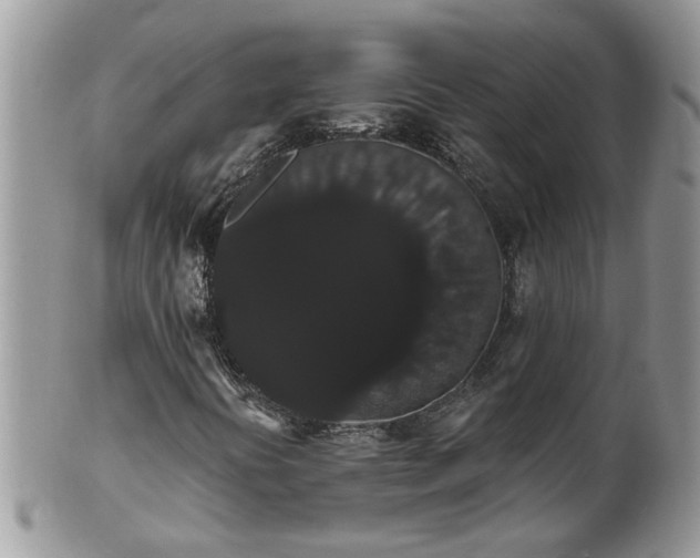 X0000101981394200807251223