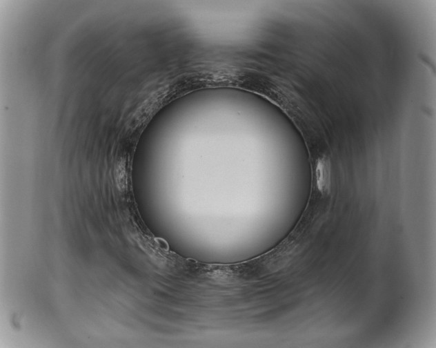 X0000101981395200807251223