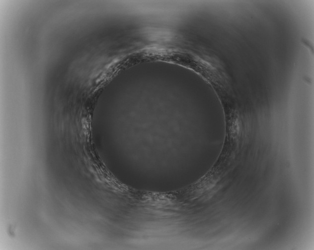 X0000101981397200807251223