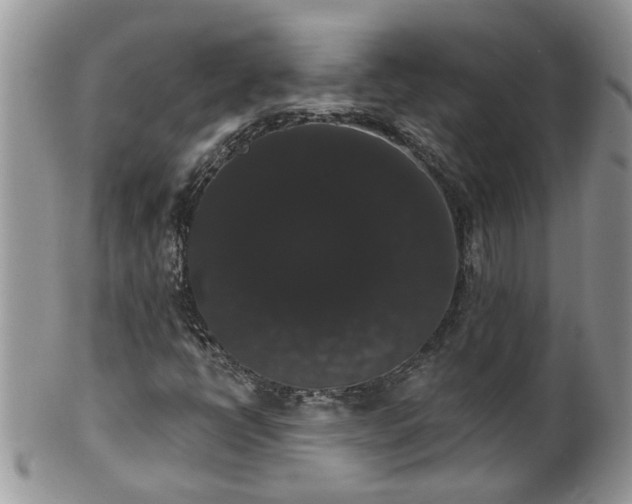 X0000101981398200807251223