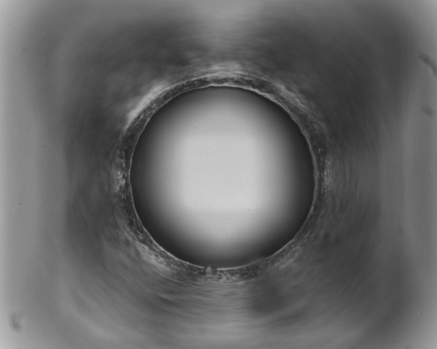 X0000101981400200807251223