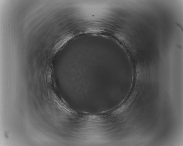 X0000101981401200807251223