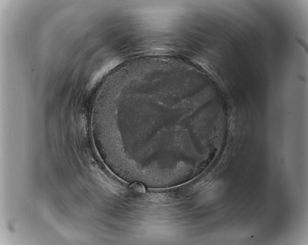 X0000101981402200807251223