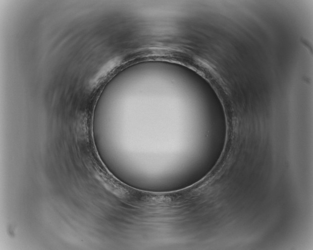 X0000101981403200807251223