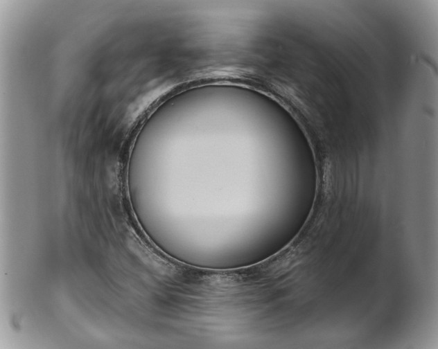 X0000101981404200807251223