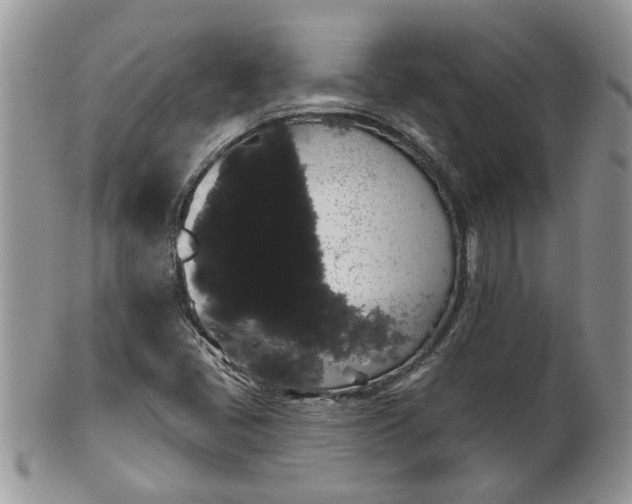 X0000101981405200807251223