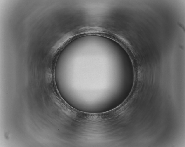 X0000101981407200807251223