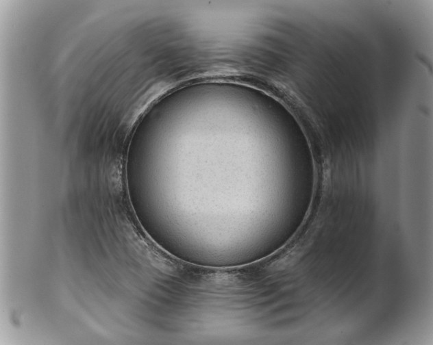 X0000101981409200807251223