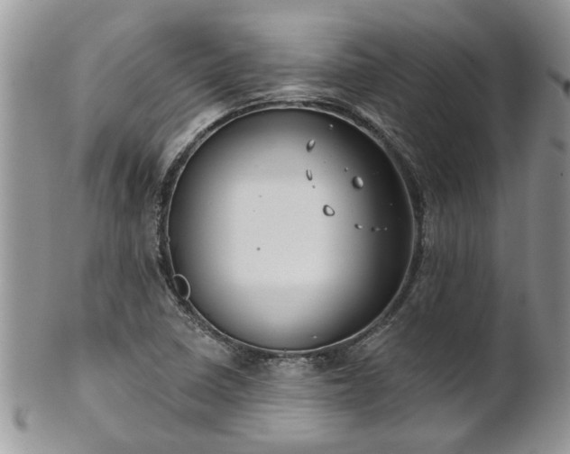 X0000101981410200807251223