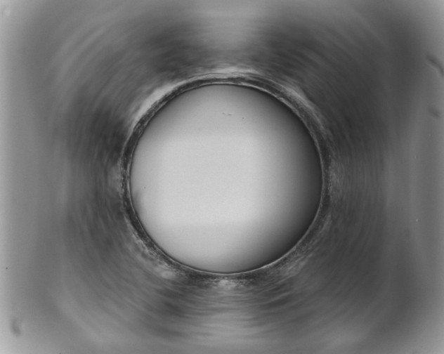 X0000101981412200807251223