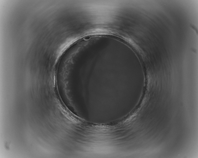 X0000101981413200807251223