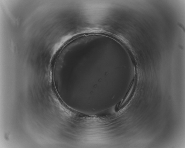 X0000101981414200807251223