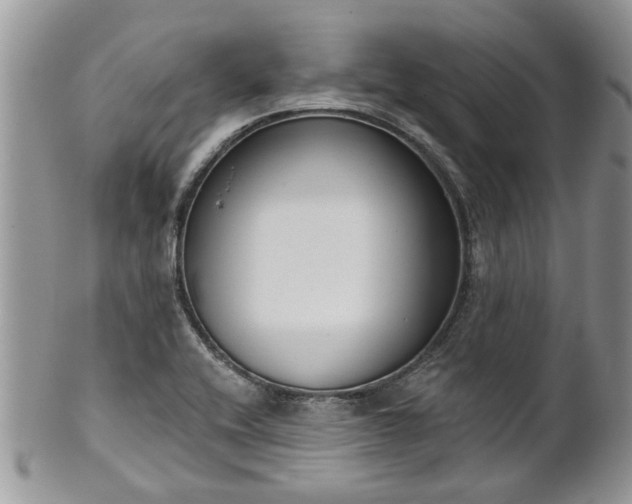 X0000101981416200807251223