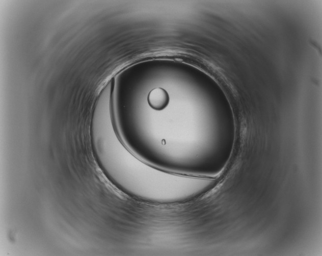 X0000101981417200807251223