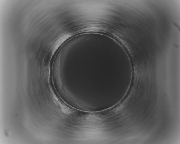 X0000101981418200807251223