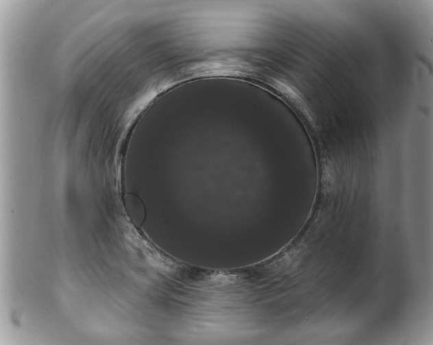 X0000101981419200807251223