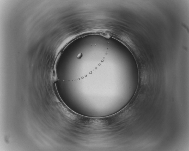 X0000101981420200807251223