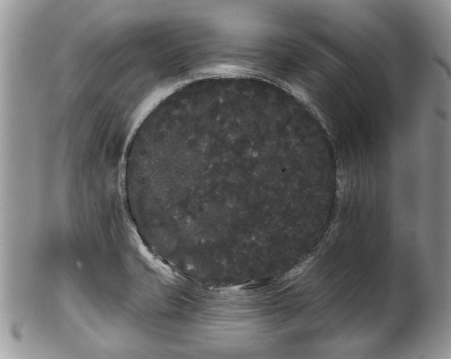 X0000101981421200807251223