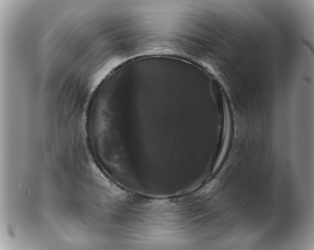 X0000101981422200807251223