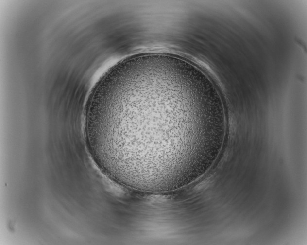 X0000101981424200807251223