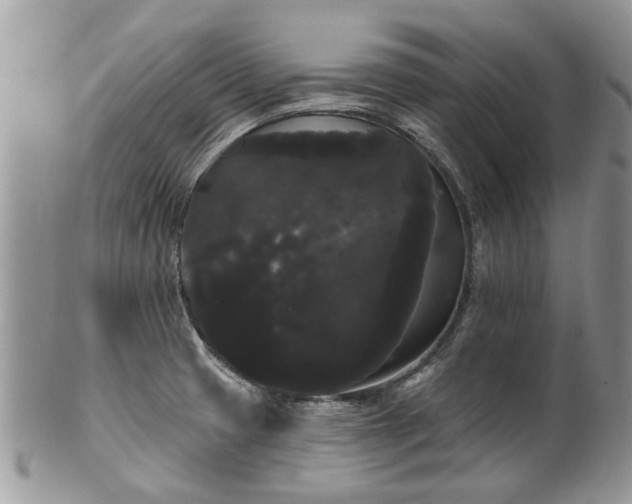 X0000101981425200807251223