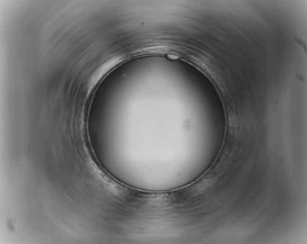 X0000101981426200807251223