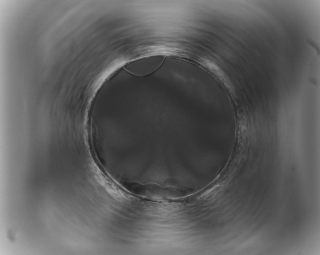 X0000101981427200807251223