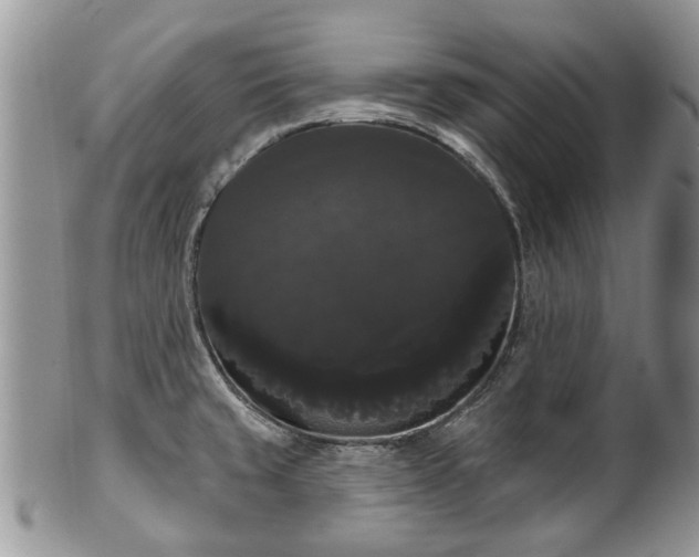 X0000101981429200807251223