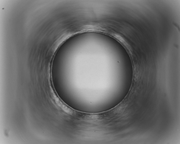 X0000101981431200807251223