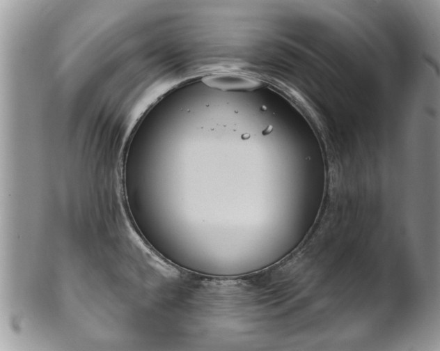 X0000101981432200807251223