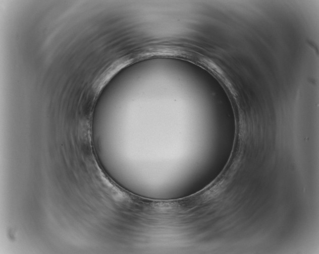 X0000101981433200807251223