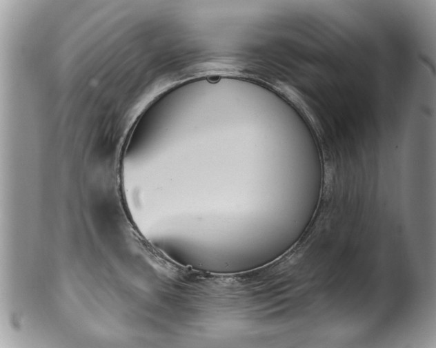 X0000101981435200807251224