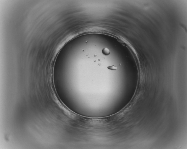 X0000101981437200807251224